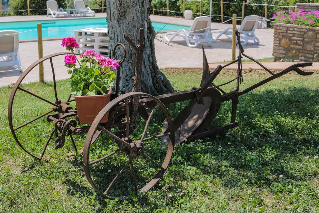 Agriturismo Il Divin Casale Vila Torgiano Exterior foto